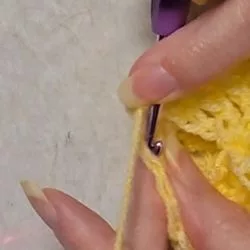 Close-up of hands crocheting a berry stitch, showing a purple crochet hook inserting into the same stitch to secure the loop.