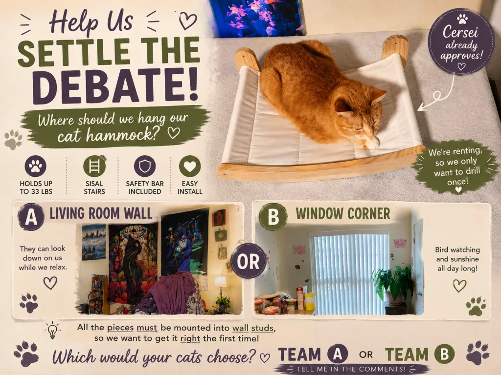 Help us settle a debate graphic about where to hang a cat wall hammock on the living room wall or corner by the window
